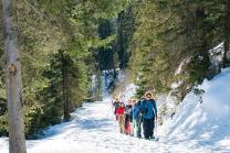 Balade en raquettes - Région de la Jungfrau