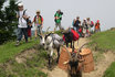 Halbtages-Trekking - mit Packgeissen 