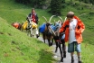 Demi-journée trekking - accompagné de chèvres     1