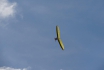 Vol biplace en deltaplane  - En Gruyère 1