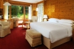 Wellness Weekend - Hotel Waldhuus Davos 8