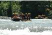 Rafting sul fiume - Simme Interlaken 3