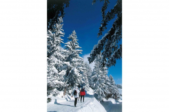 Séjour romantique en Valais - Suite Junior avec jacuzzi 13 