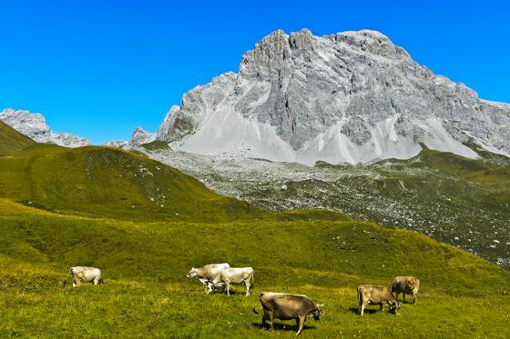 Purer Übernachtungsgenuss - im Berggasthaus Michelshof 9 