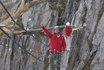 Klettersteig - Kletterabenteuer für jedermann! 1
