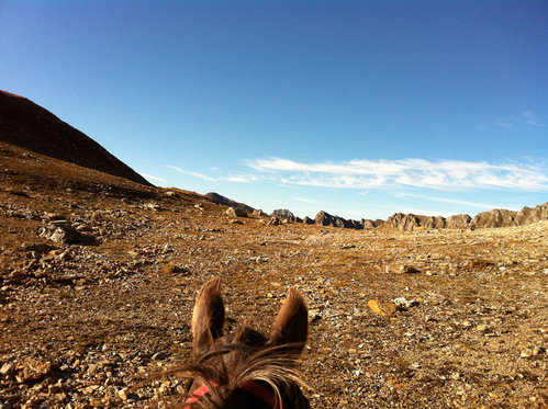 Titel - Untertitel 5 