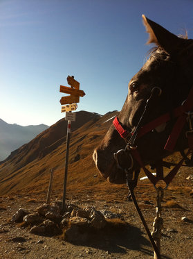 Titel - Untertitel 6 