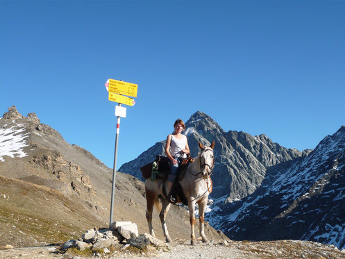 Titel - Untertitel 7 