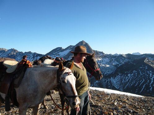 Titel - Untertitel 8 