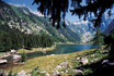 Volo in elicottero in Ticino - con pranzo in un grotto 6