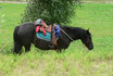 Familien Ponyreiten - für 2 Erwachsene und 2 Kinder 2