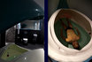 Floating Gutschein - Float Tank 5x60 Minuten 4