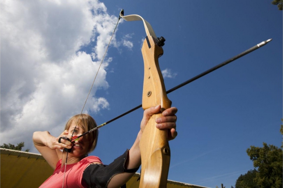 Bogenschiessen im wilden Haslital - für 1 Person | 3D Parcours mit 28 Tierbildern 1 