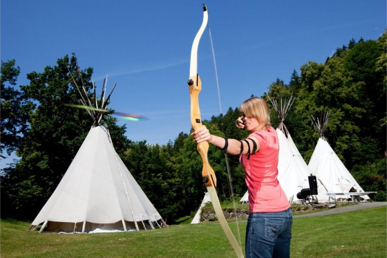 Bogenschiessen im wilden Haslital - für 1 Person | 3D Parcours mit 28 Tierbildern 3 