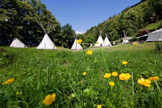 Bogenschiessen im wilden Haslital - für 1 Person | 3D Parcours mit 28 Tierbildern 4 