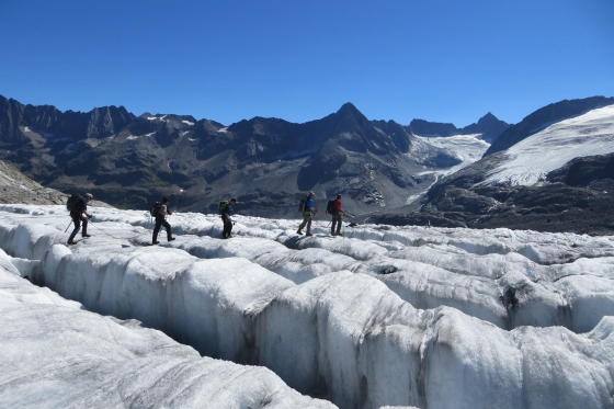 Gletschertrekking für 1 Person - Ein exklusives Erlebnis auf dem Rhone- oder Steingletscher 2 