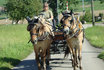 Wagonettenfahrt - Kutschenfahrt im Emmental 