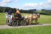 Wagonettenfahrt - Kutschenfahrt im Emmental 1