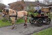 Wagonettenfahrt - Kutschenfahrt im Emmental 2