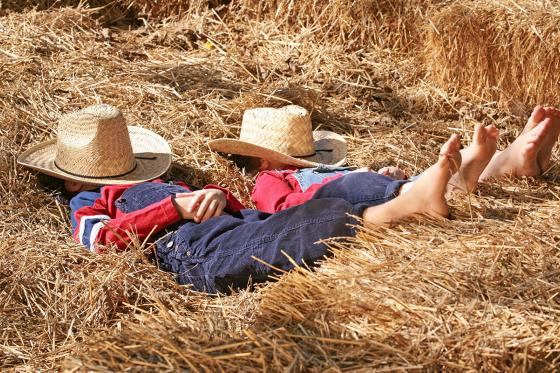 Schlafen im Stroh - einzigartiges Familienerlebnis für 4 Personen  