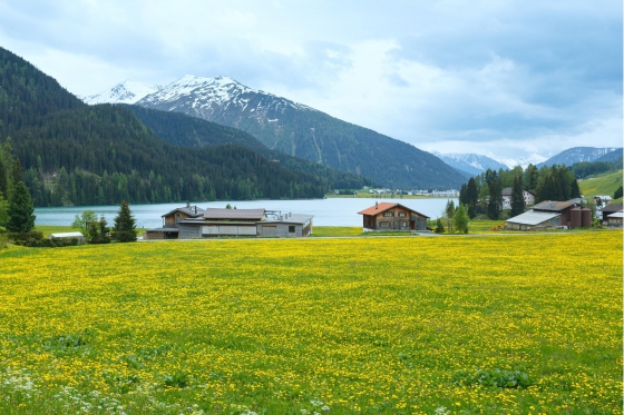 Soggiorno a Davos - incluso cena di 3 portate  