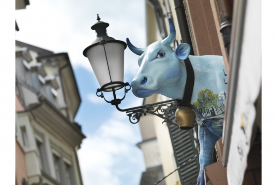 Week-end trip pour 2 - Une nuit au cœur de Zurich 4  Week-end trip pour 2 - Une nuit au cœur de Zurich 4