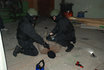 SWAT Einsatz - Training wie die Profis 2