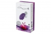 Vibromasseur We-Vibe 4 Plus	 - Contrôlable depuis votre smartphone 9