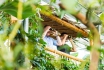 Maison tropicale de Frutigen - Entrée pour une personne 10