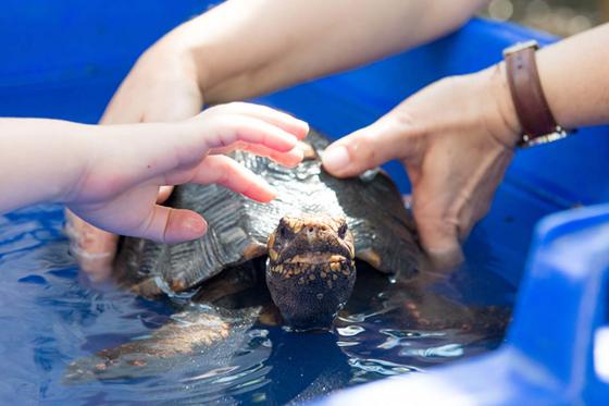 Tropenhaus Frutigen - Eintritt für 1 Person 7 