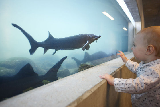 Tropenhaus Frutigen - Eintritt für 1 Person 8 