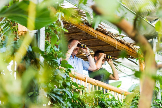 Tropenhaus Frutigen - Eintritt für 1 Person 10 