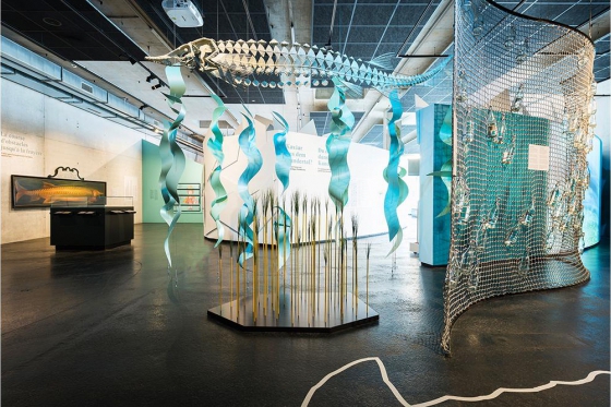 Tropenhaus Frutigen - Eintritt für 1 Person 13 