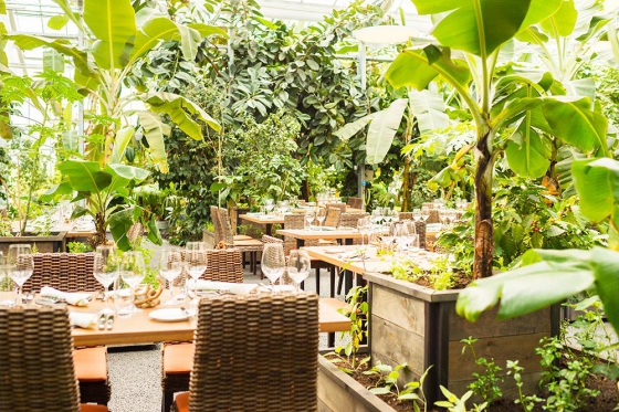 Tropenhaus Frutigen - Eintritt für 1 Person 16 