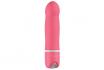 Bdesired Deluxe - Der elegante Vibrator 2