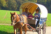 Planwagen mieten - 2 Tage im Jura 