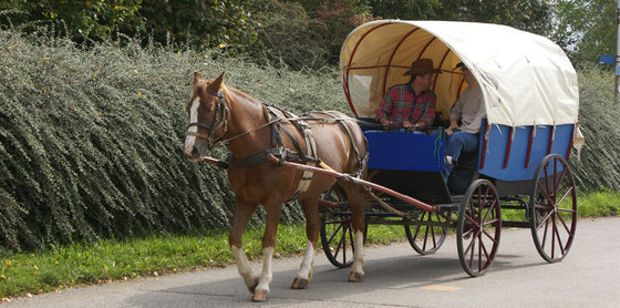 Balade en roulotte - 2 jours en Ajoie 1 