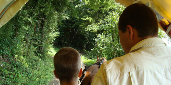 Balade en roulotte - 2 jours en Ajoie 2 