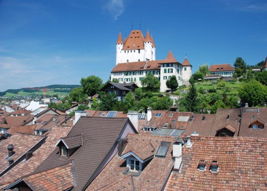Schloss Besichtigung  - mit Schifffahrt auf dem Thunersee 2 