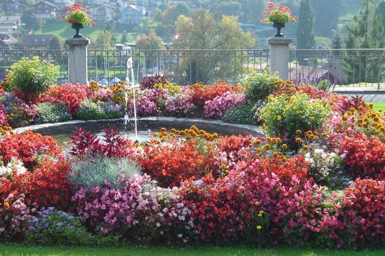 Schloss Besichtigung  - mit Schifffahrt auf dem Thunersee 14 
