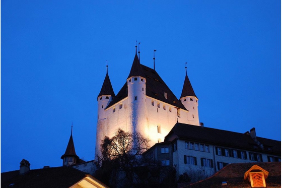 Schloss Besichtigung  - mit Schifffahrt auf dem Thunersee 18 