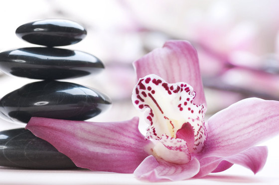 Hot Stone Massage - Wellness Massage im Aargau  
