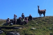 Balade avec les lamas - en Valais 2