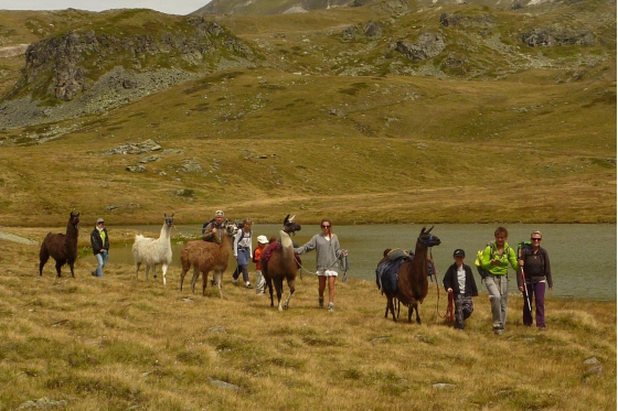 Skydiving - Solo Fallschirmsprung  