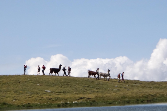 Skydiving - Solo Fallschirmsprung 1 