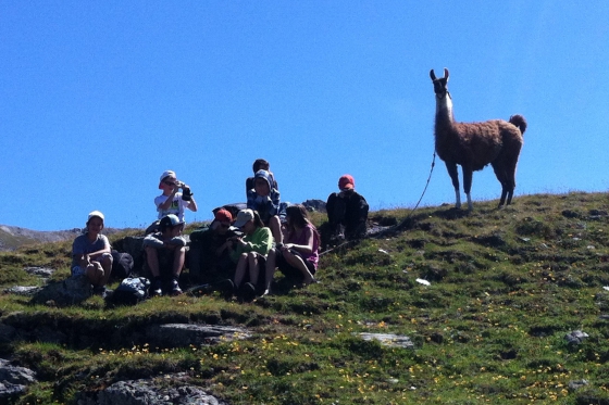 Skydiving - Solo Fallschirmsprung 2 