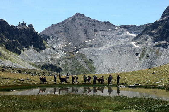 Skydiving - Solo Fallschirmsprung 3 