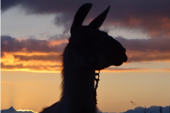 Skydiving - Solo Fallschirmsprung 4 