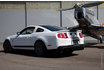 Mustang Shelby GT 500 - 1 Wochenende mieten 1