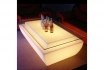 Table LED - 160x90x50cm - plaque de verre incluse 